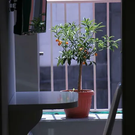 Bed & Breakfast Federico Ii 4*